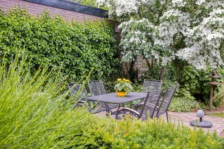 Foto 51 van Bornsestraat 65