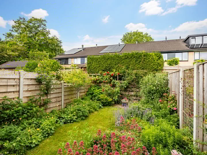 Foto 26 van De Waarden 55