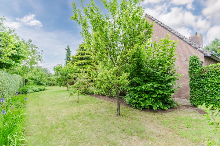 Photo 64 of De Hoeven 2