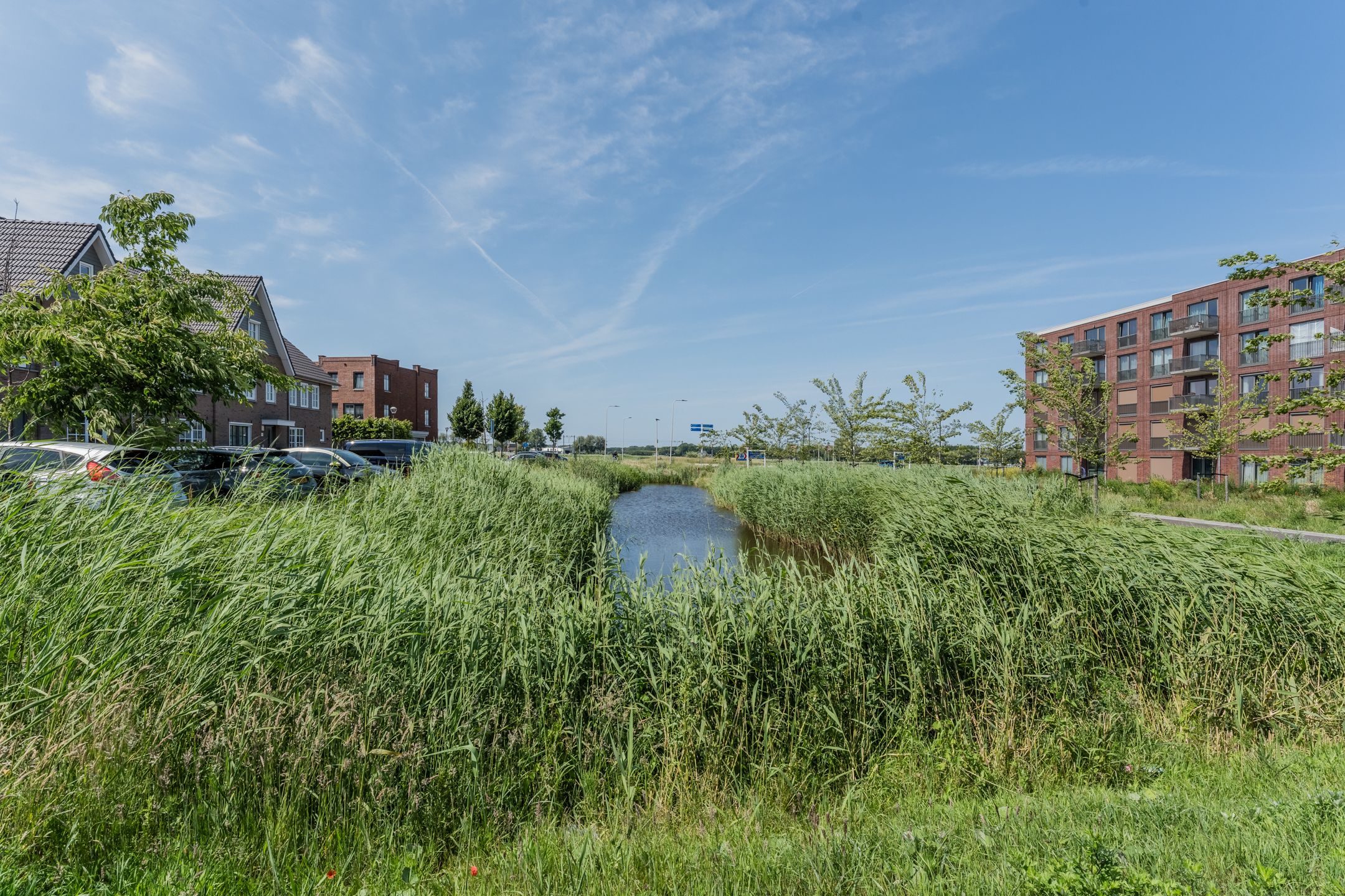 Foto 54 van Keizerskroon 41