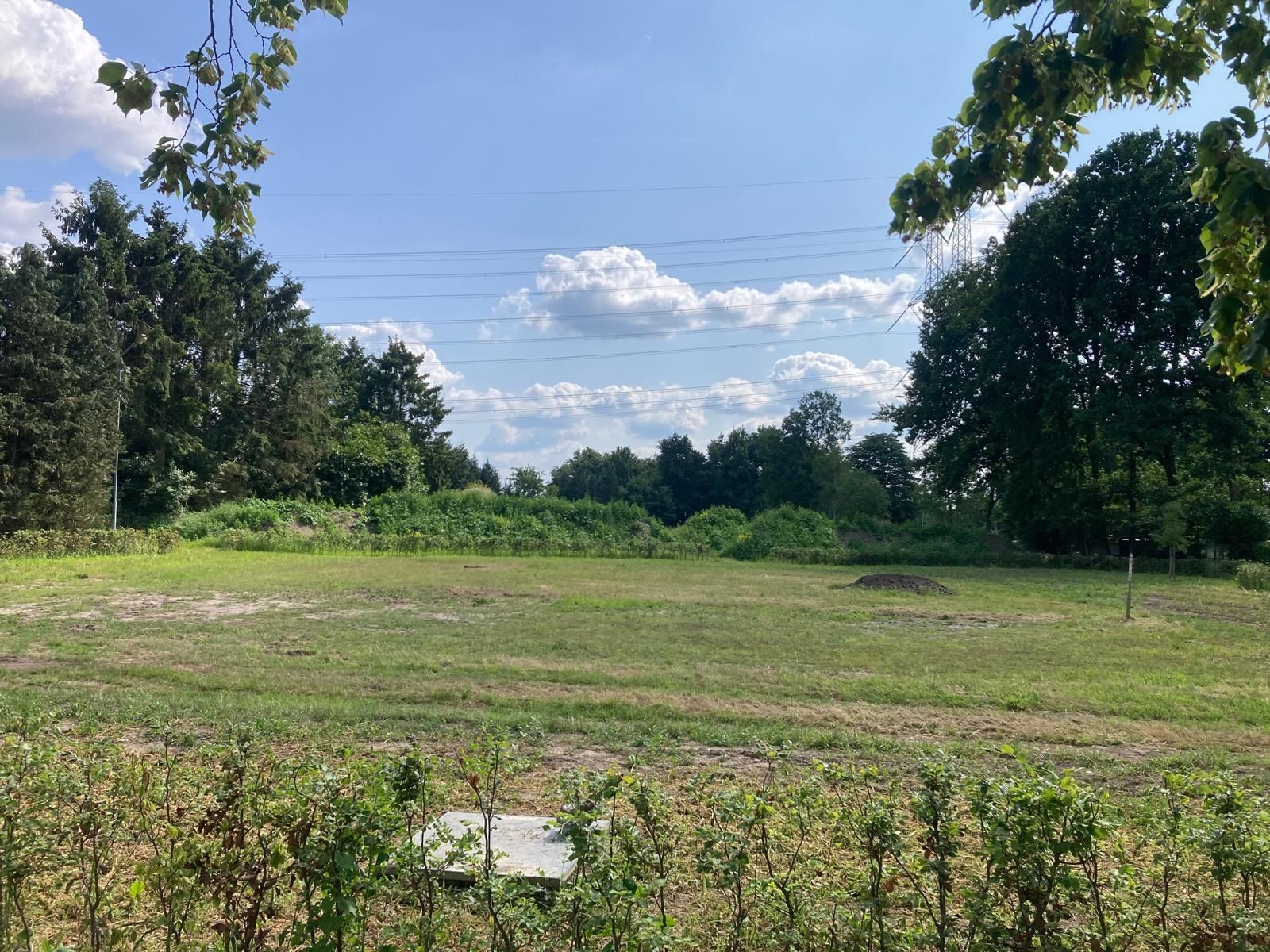 Foto 9 van Molenkampseweg 12