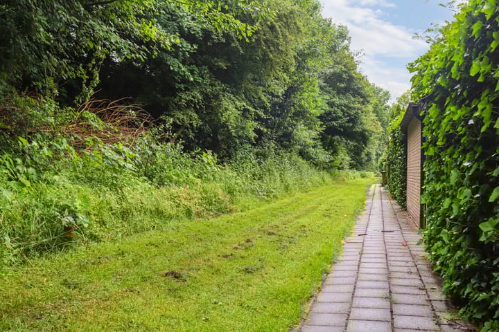 Photo 28 of Alkmaarsingel 256