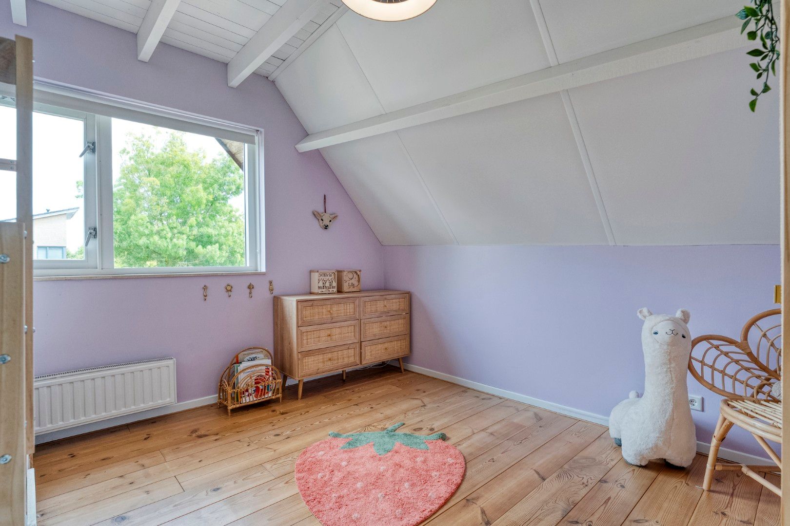 Foto 54 van Gerard Doustraat 81