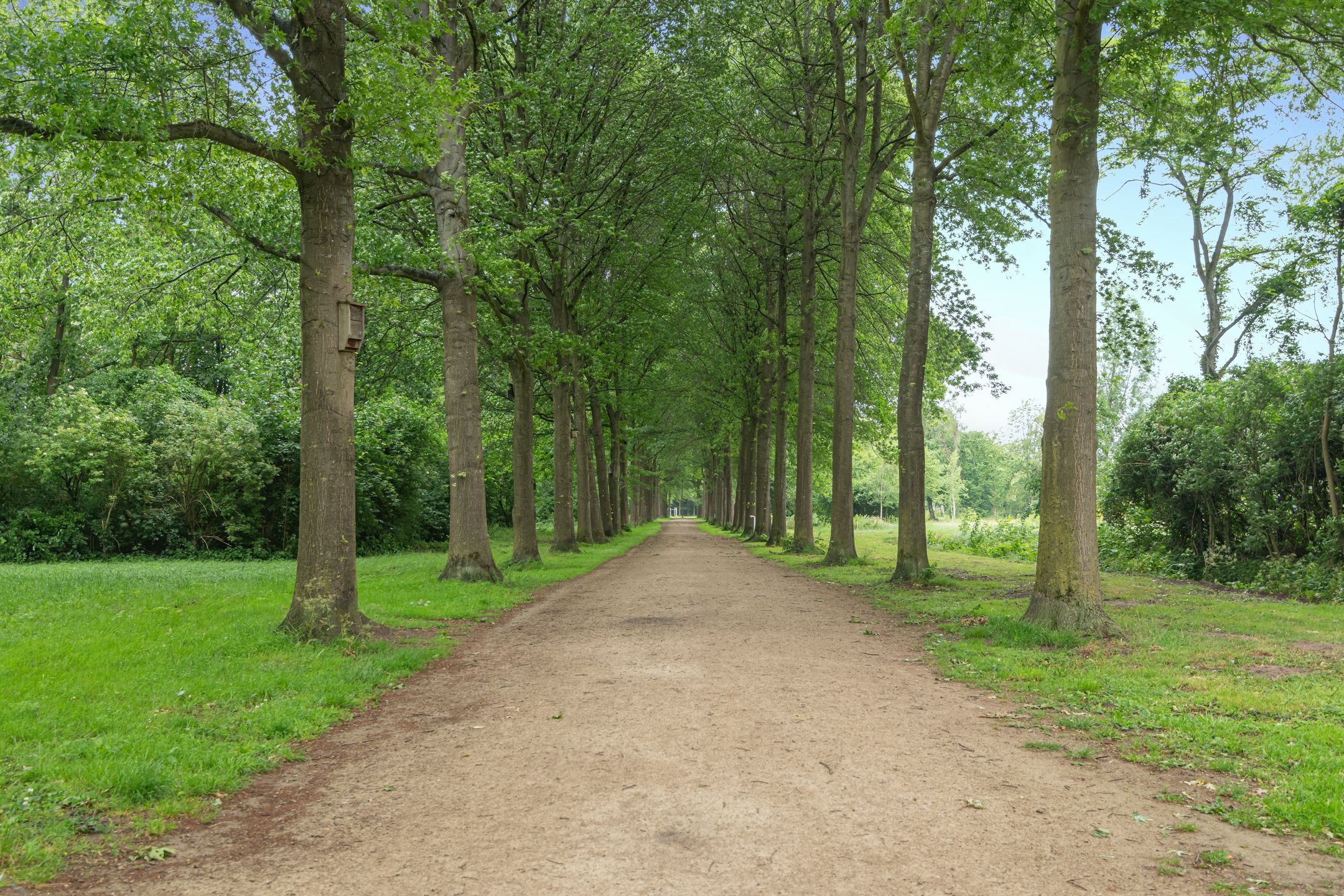 Foto 30 van Valkenkamp 445