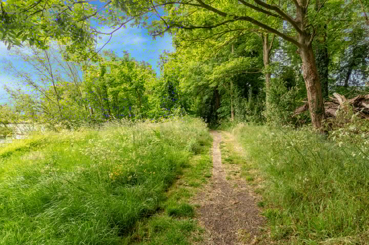 Foto 53 van Groot Barlaken 60