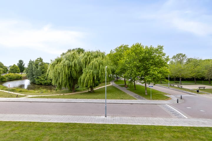 Foto 15 van Schaepmanstraat 179