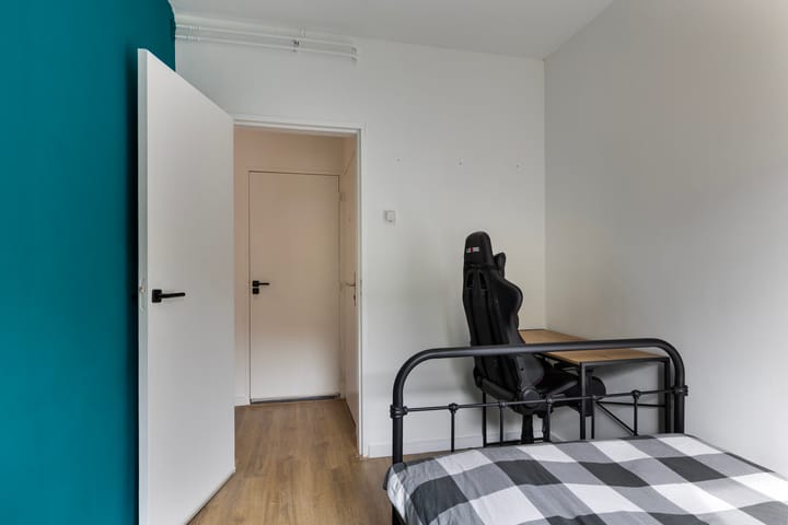 Foto 24 van Schaepmanstraat 179