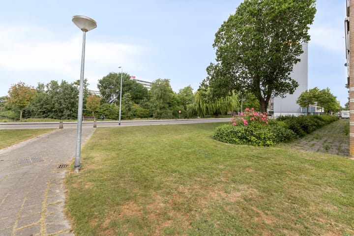 Foto 32 van Schaepmanstraat 179