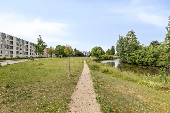 Foto 33 van Schaepmanstraat 179