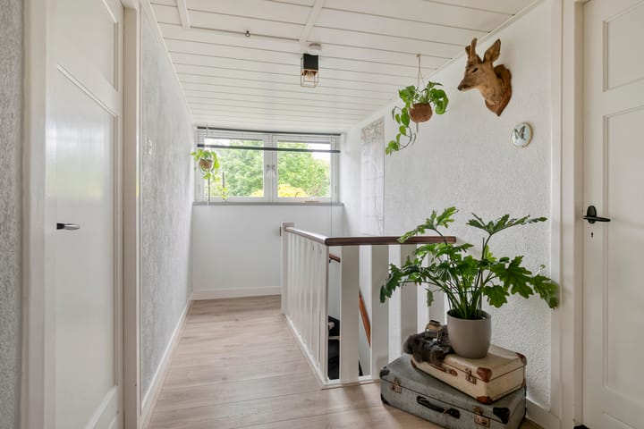 Foto 17 van Pastoor Jacobsstraat 42