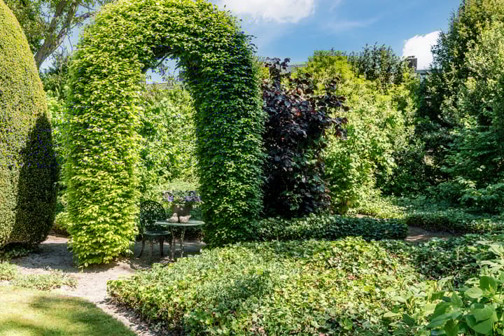 Foto 52 van Bogardeind 161