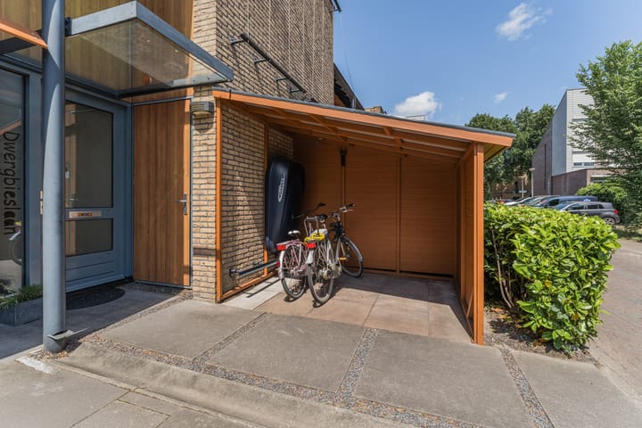 Foto 5 van Dwergbieslaan 31