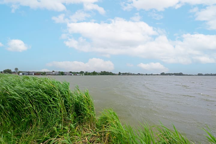 Foto 17 van M. Waltuch-Kauffmannstraat 5