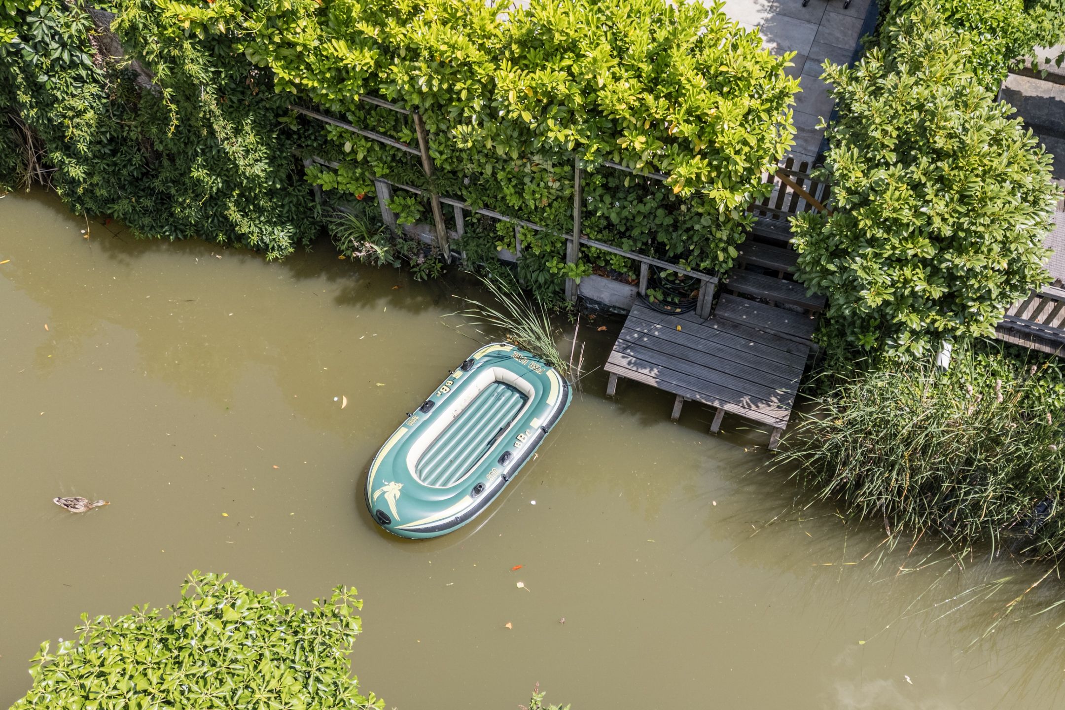 Foto 21 van Dwergbieslaan 31