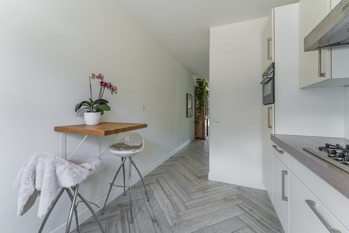 Foto 31 van Dwergbieslaan 31