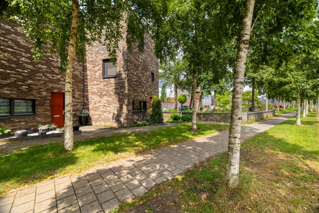 Foto 31 van Daccastraat 9