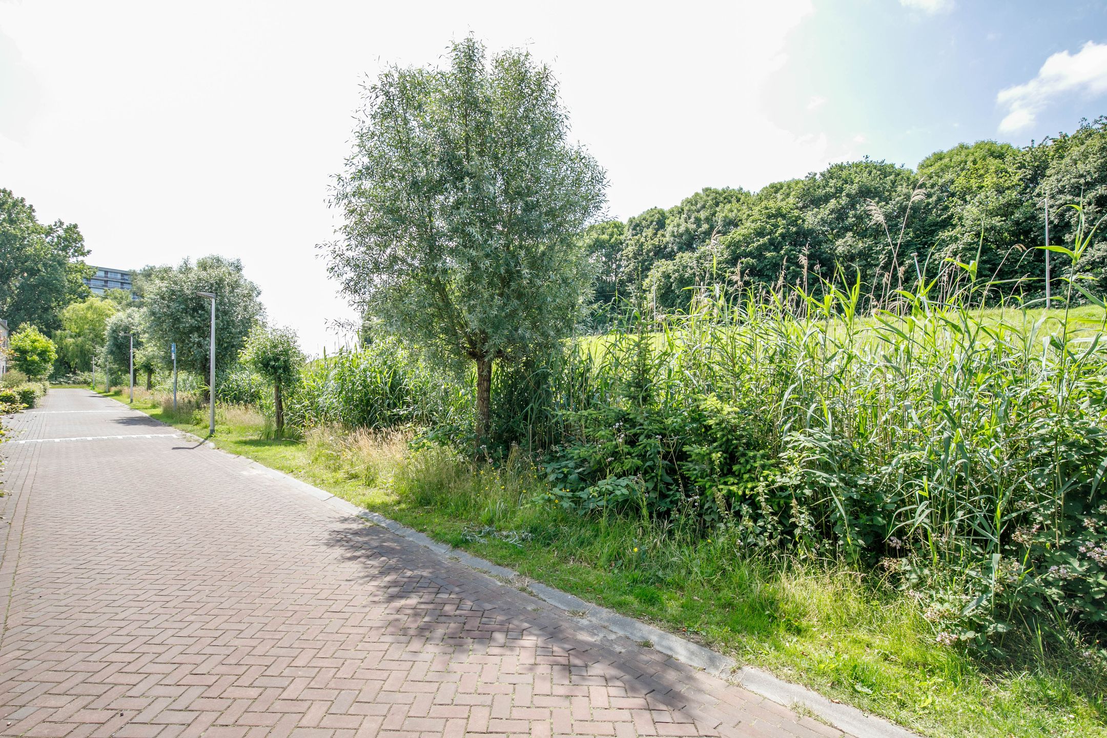 Foto 54 van Anna Maria van Cappellenpark 72