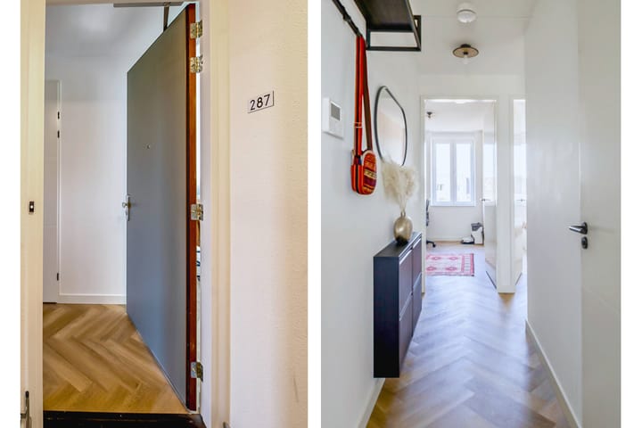 Foto 16 van Begoniatuin 287