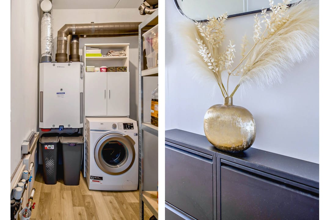 Photo 26 of Begoniatuin 287