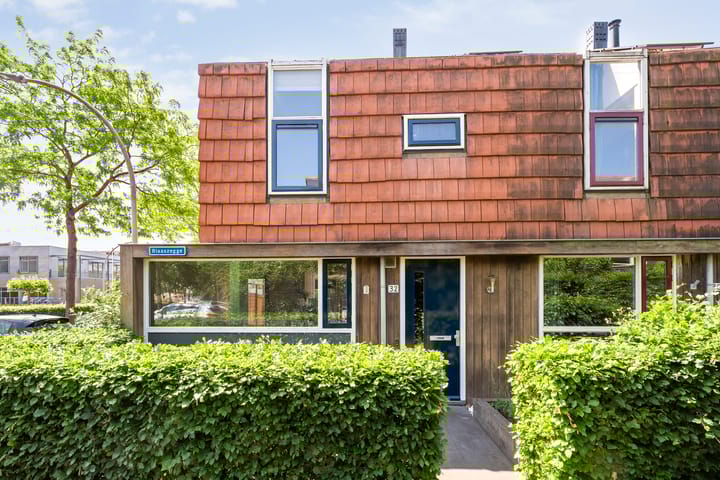 Foto 3 van Blaaszegge 32