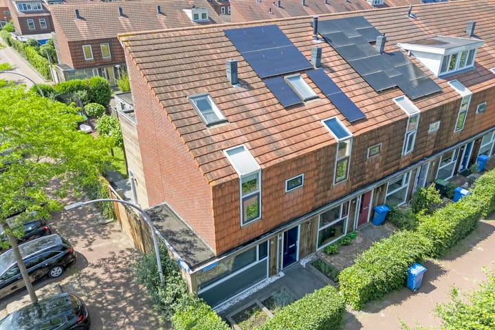 Foto 4 van Blaaszegge 32