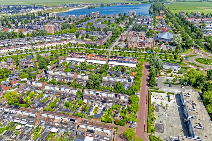 Foto 6 van Blaaszegge 32