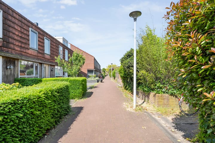 Foto 7 van Blaaszegge 32