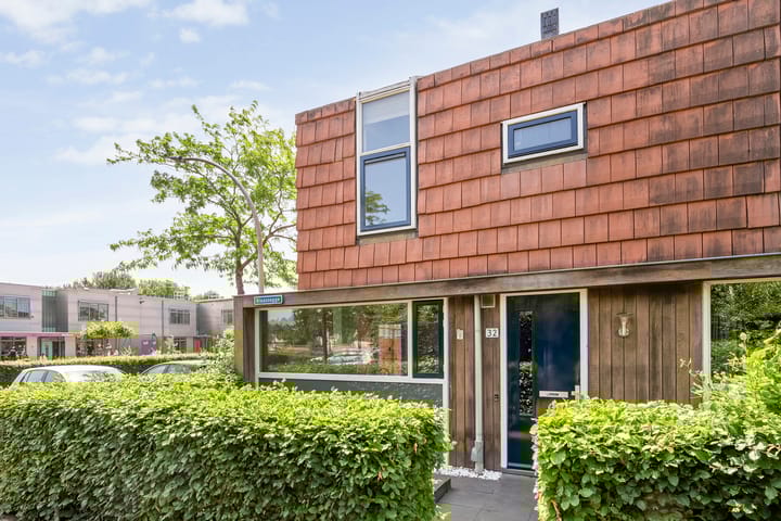 Foto 8 van Blaaszegge 32