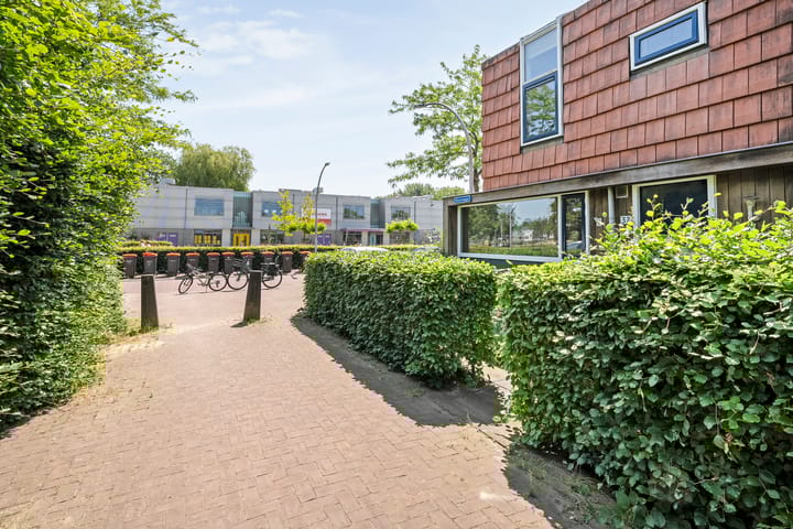 Foto 9 van Blaaszegge 32