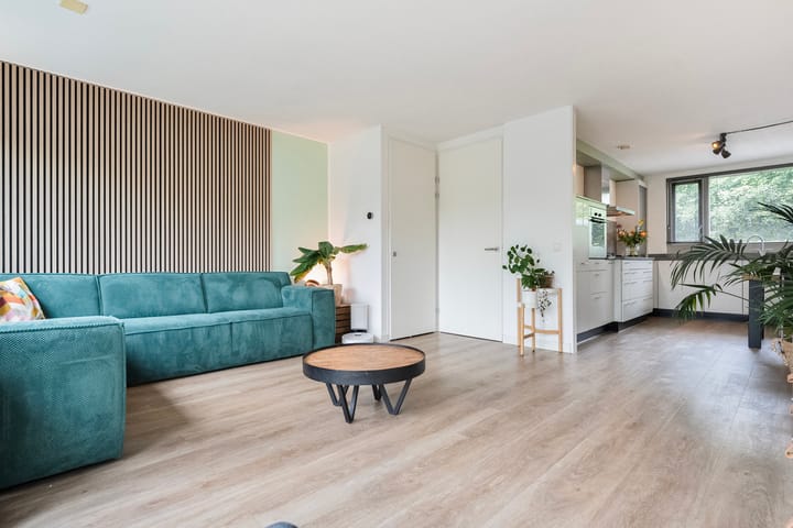 Foto 15 van Blaaszegge 32