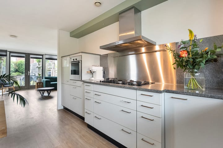 Foto 18 van Blaaszegge 32