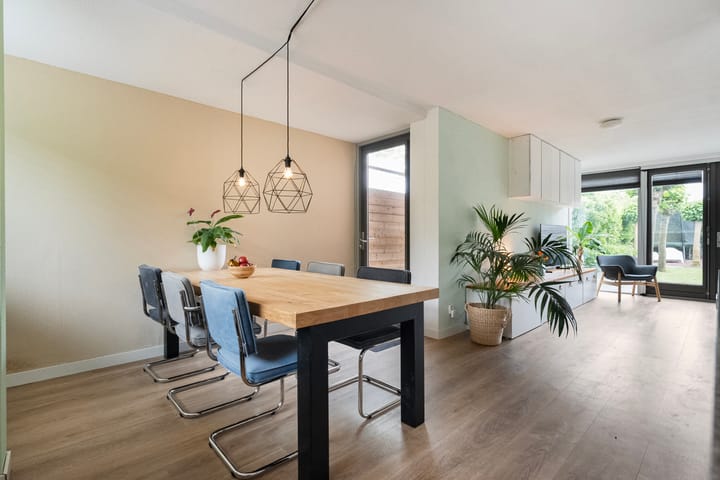 Foto 19 van Blaaszegge 32