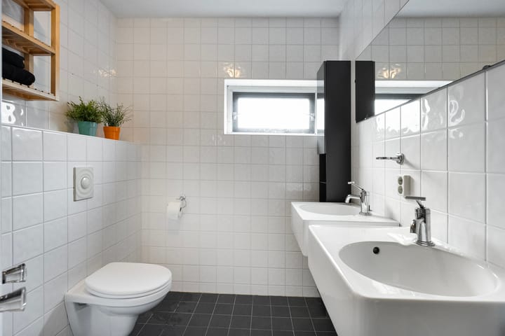 Foto 28 van Blaaszegge 32