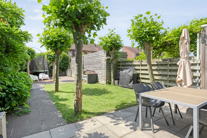 Foto 35 van Blaaszegge 32