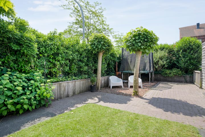 Foto 37 van Blaaszegge 32