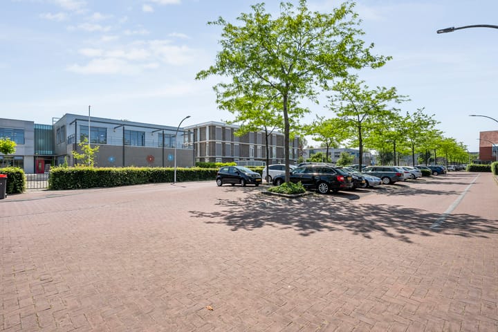 Foto 41 van Blaaszegge 32