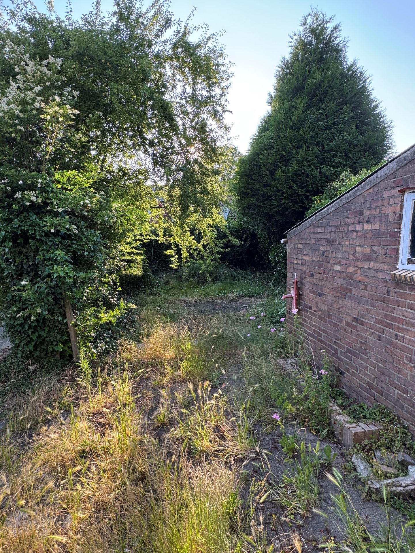 Foto 20 van Dijkstraat 10