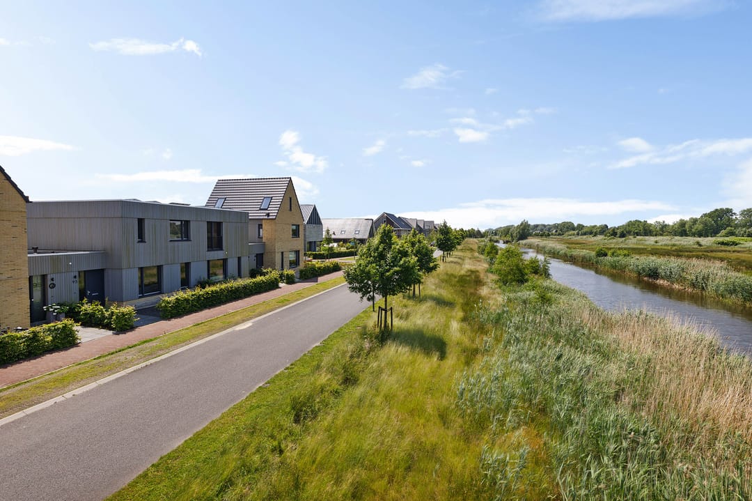 Foto 1 van Blaarkop 93