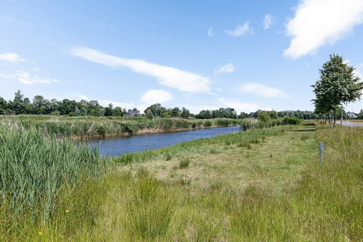 Foto 2 van Blaarkop 93