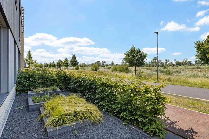 Foto 11 van Blaarkop 93