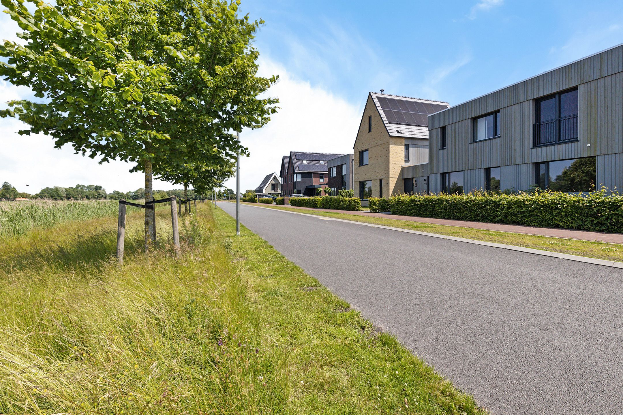 Foto 12 van Blaarkop 93