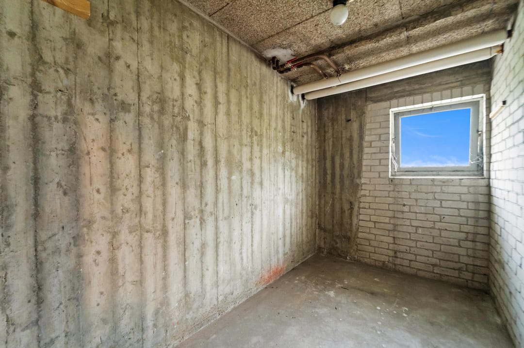 Foto 22 van Ranonkelstraat 231