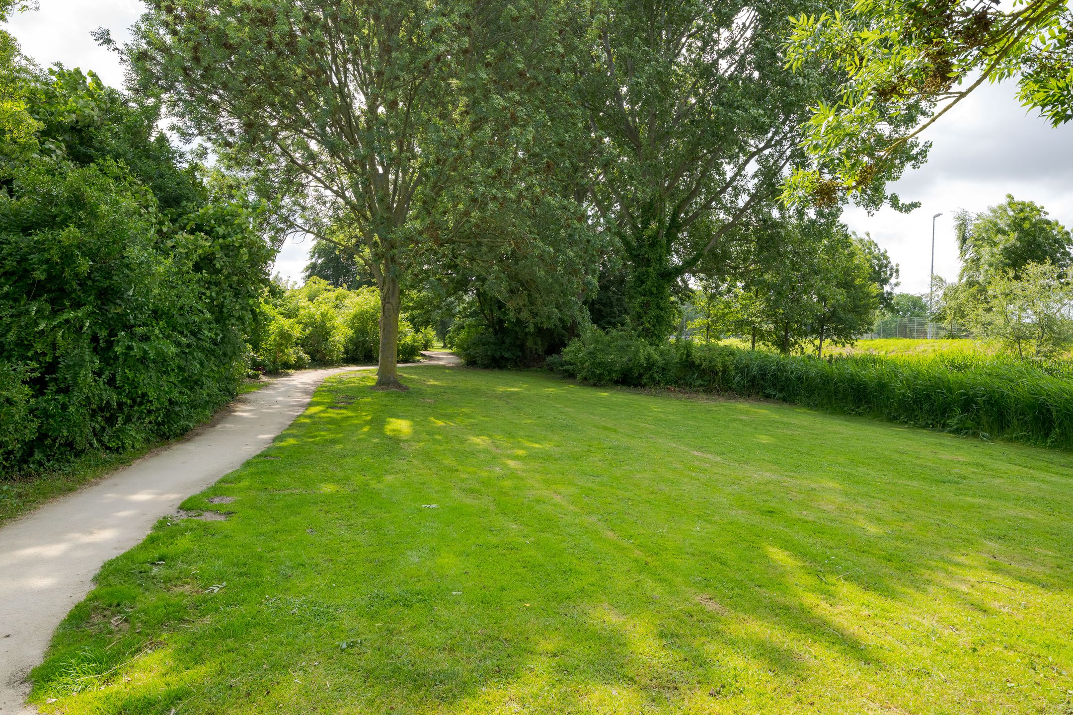 Foto 33 van Suze Groenewegerf 4