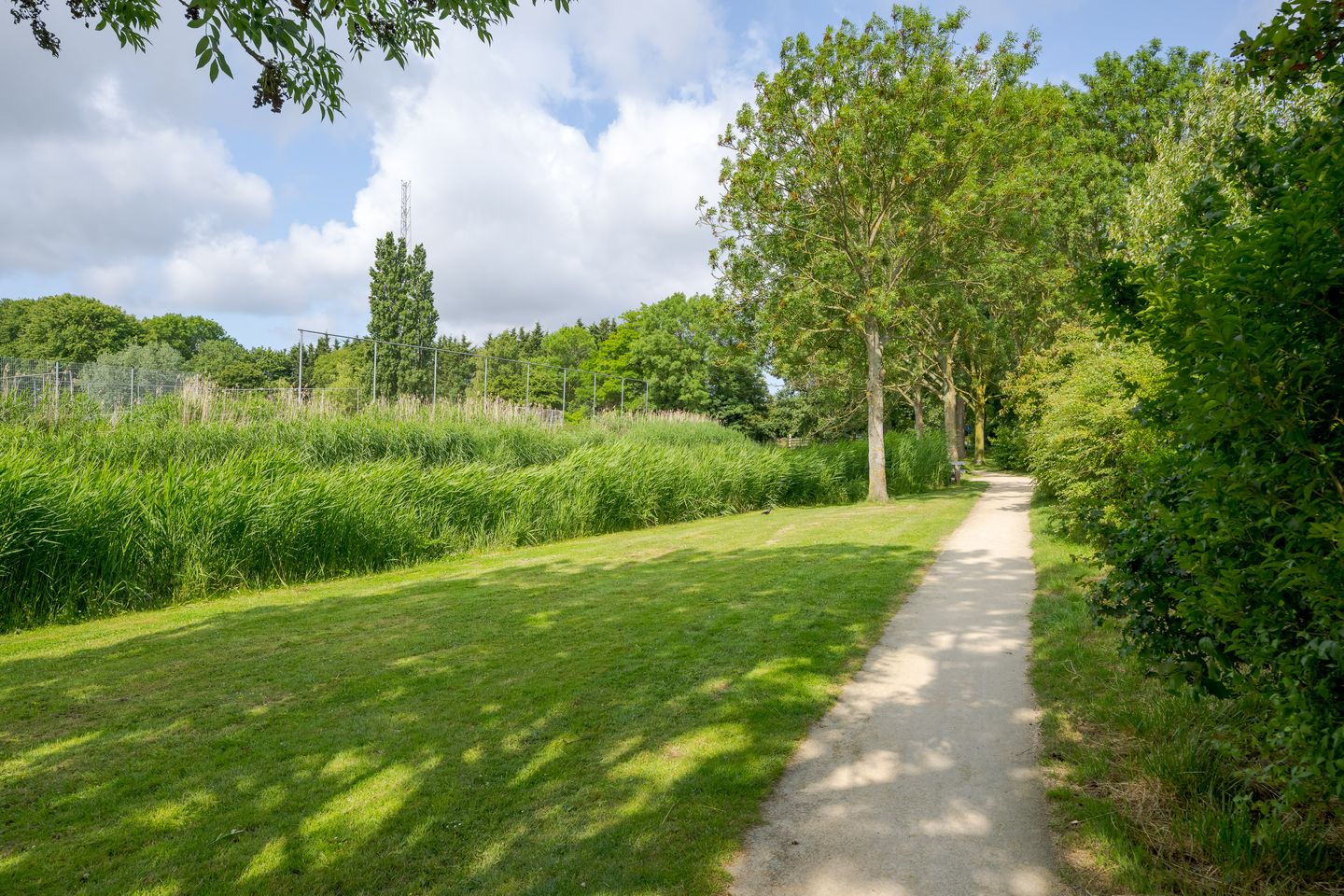 Foto 34 van Suze Groenewegerf 4