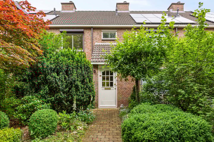 Foto 1 van Pitrus 71