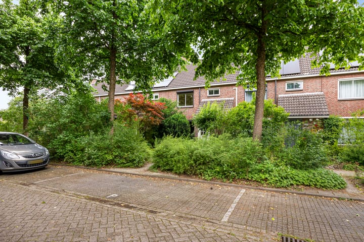 Foto 2 van Pitrus 71