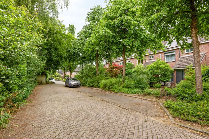 Foto 26 van Pitrus 71