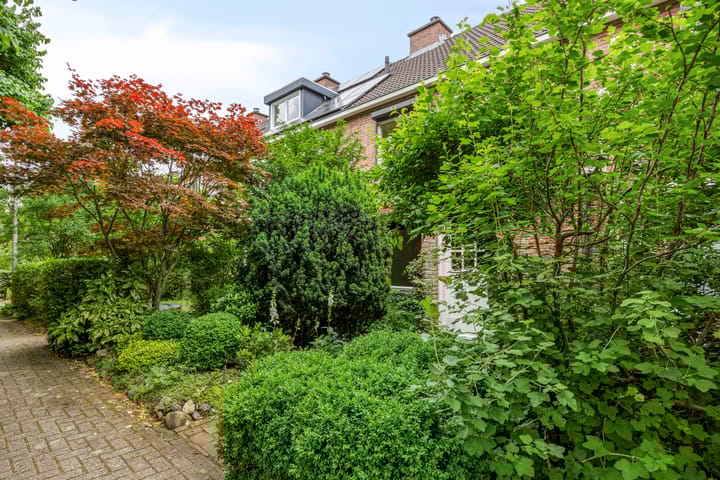 Foto 29 van Pitrus 71