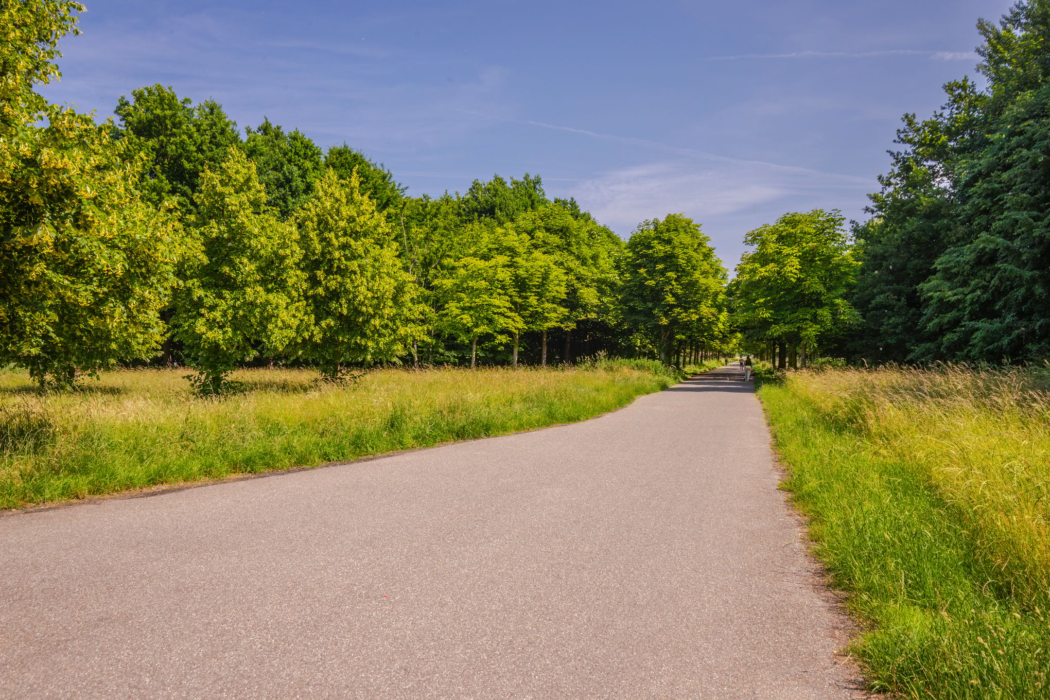 Foto 27 van Emily Brontësingel 78