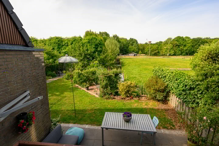 Foto 5 van Hermelijnvlinder 36